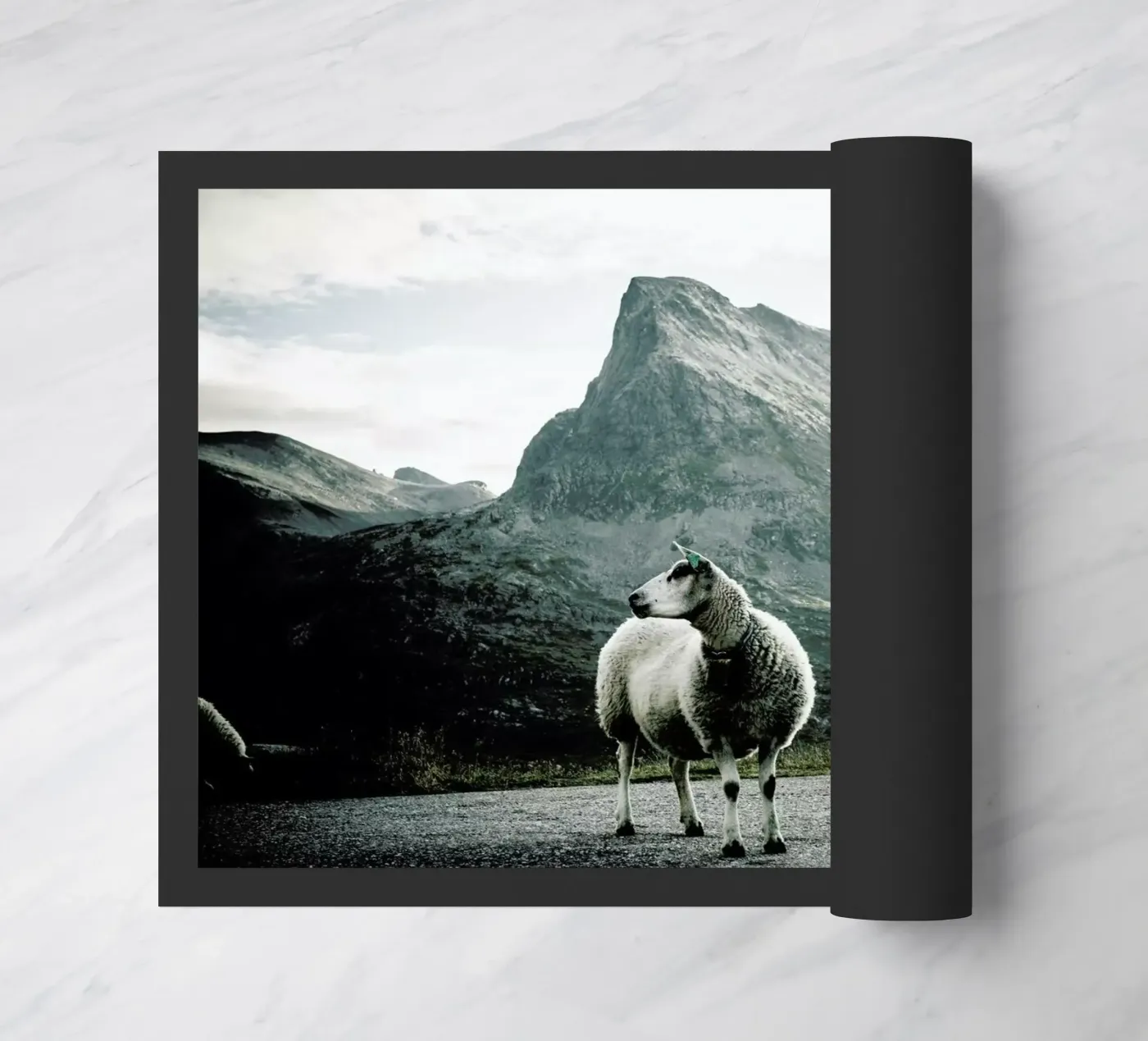 Sheep 1 zerbino da Chris Abatzis