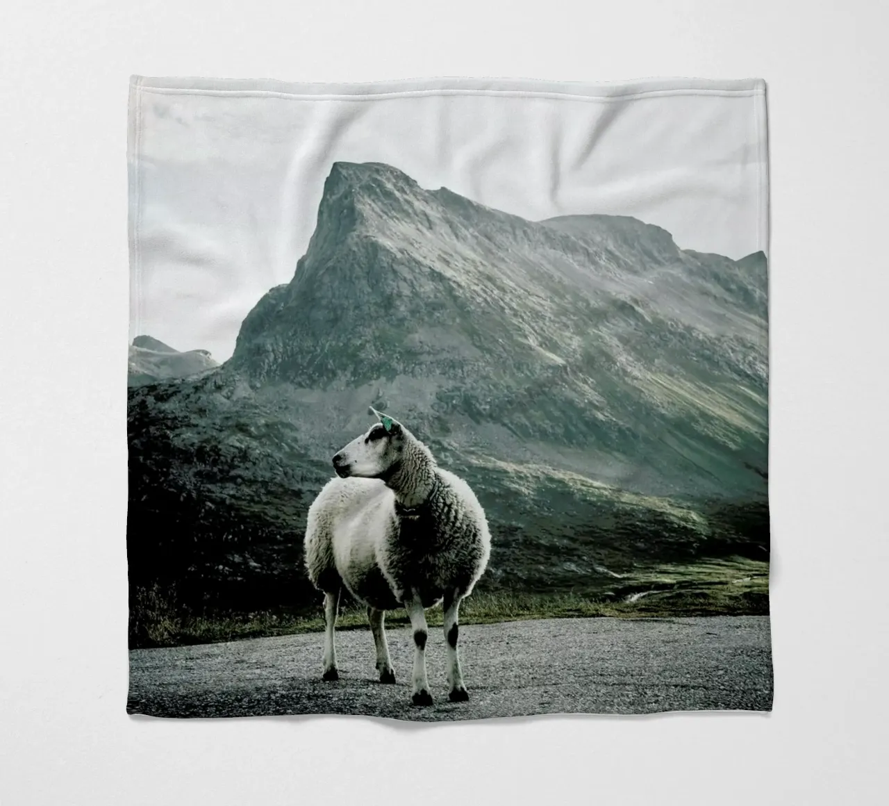 Sheep 1 coperta in pile da Chris Abatzis