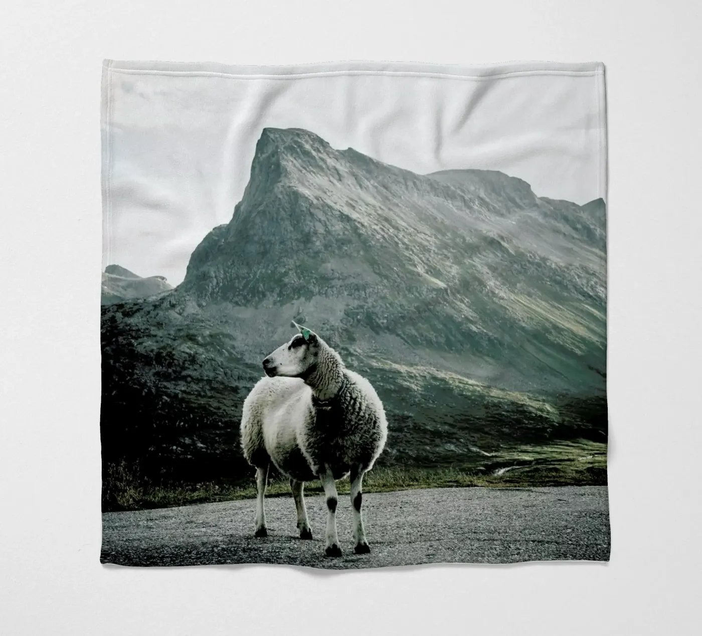 Sheep 1 Fleecedecke von Chris Abatzis