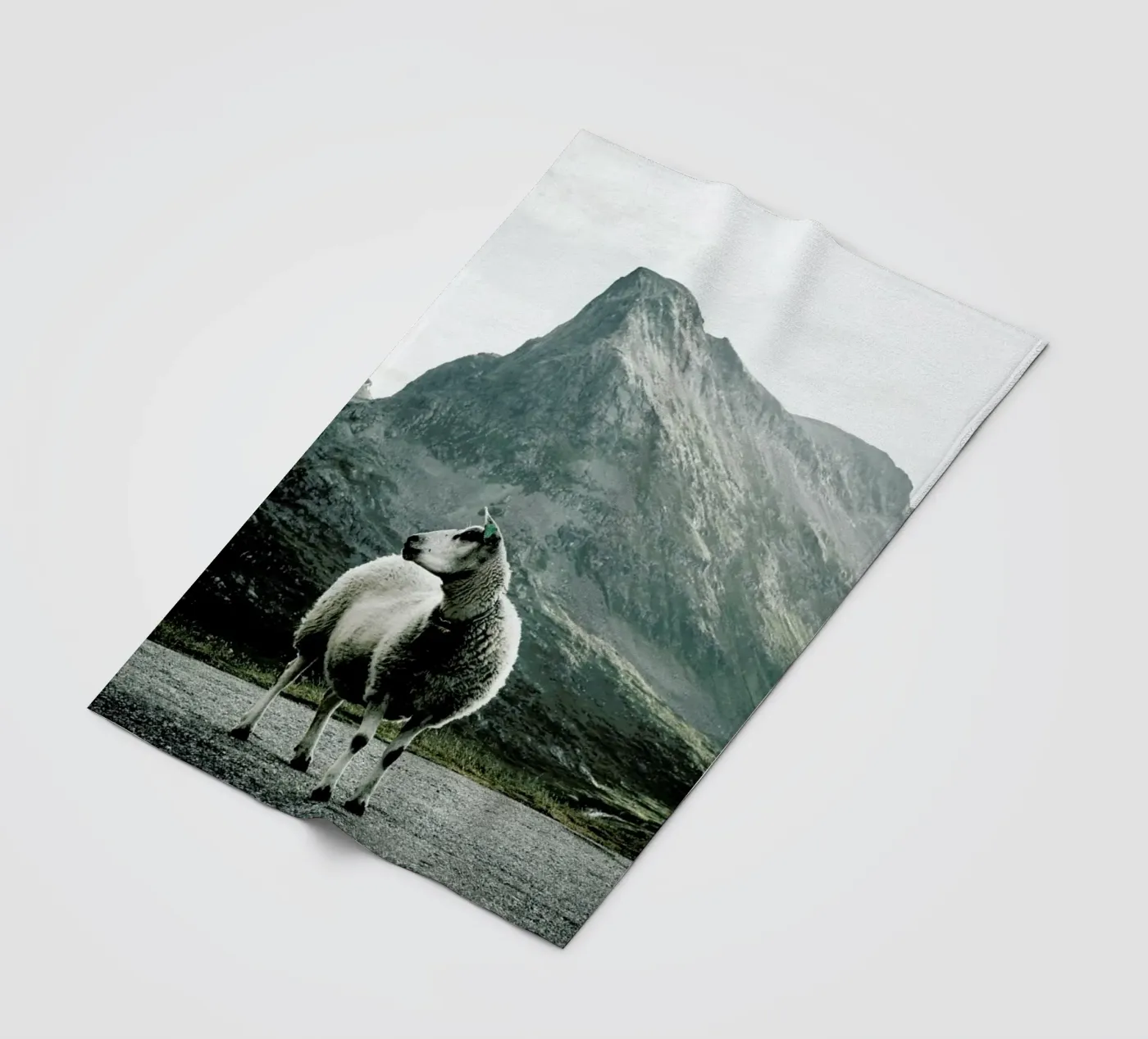 Sheep 1 Fleecedecke von Chris Abatzis