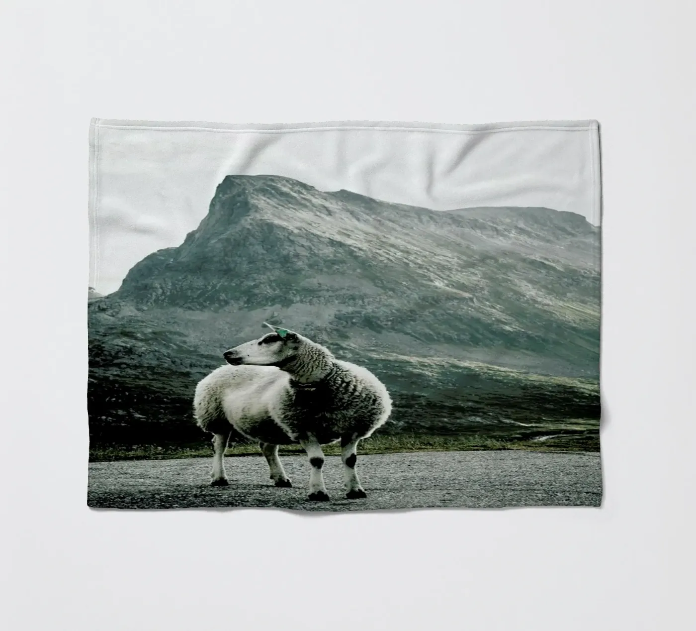 Sheep 1 Fleecedecke von Chris Abatzis