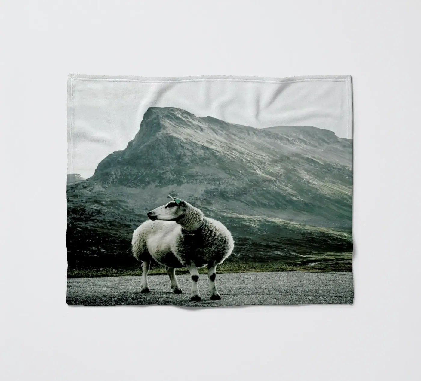 Sheep 1 Fleecedecke von Chris Abatzis