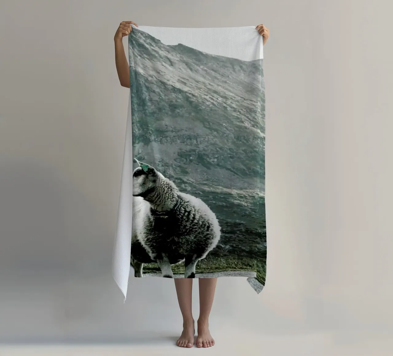 Sheep 1 telo mare da Chris Abatzis