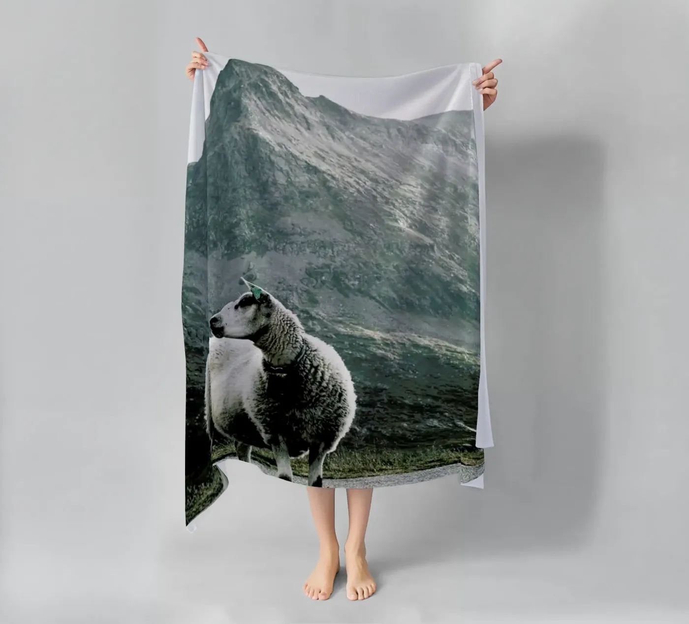 Sheep 1 telo mare da Chris Abatzis