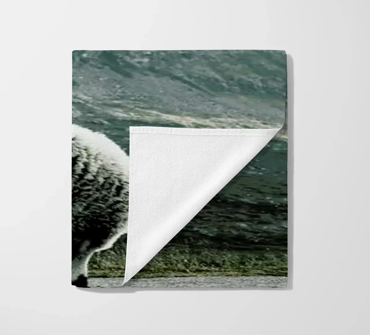 Sheep 1 telo mare da Chris Abatzis