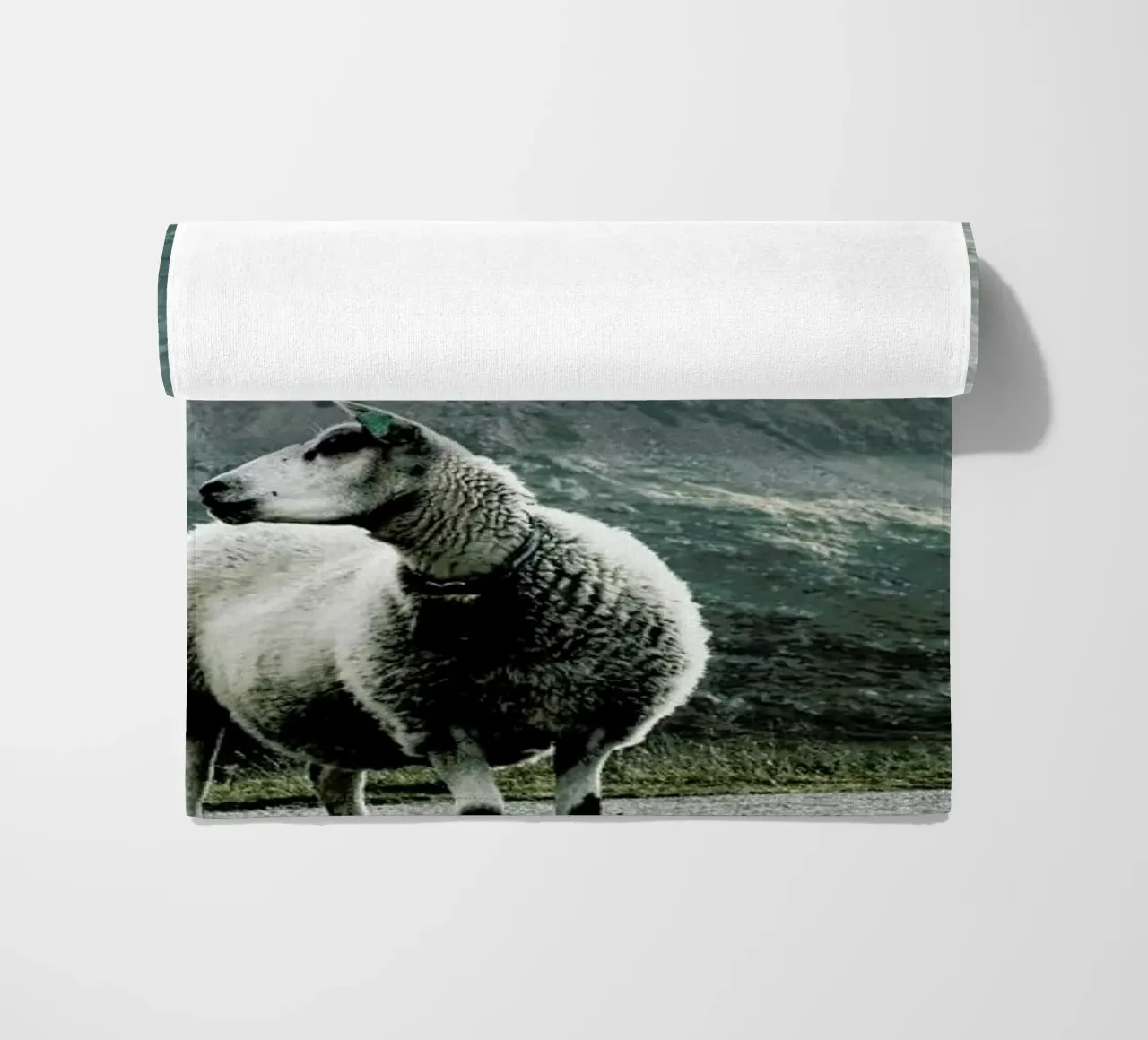 Sheep 1 telo mare da Chris Abatzis