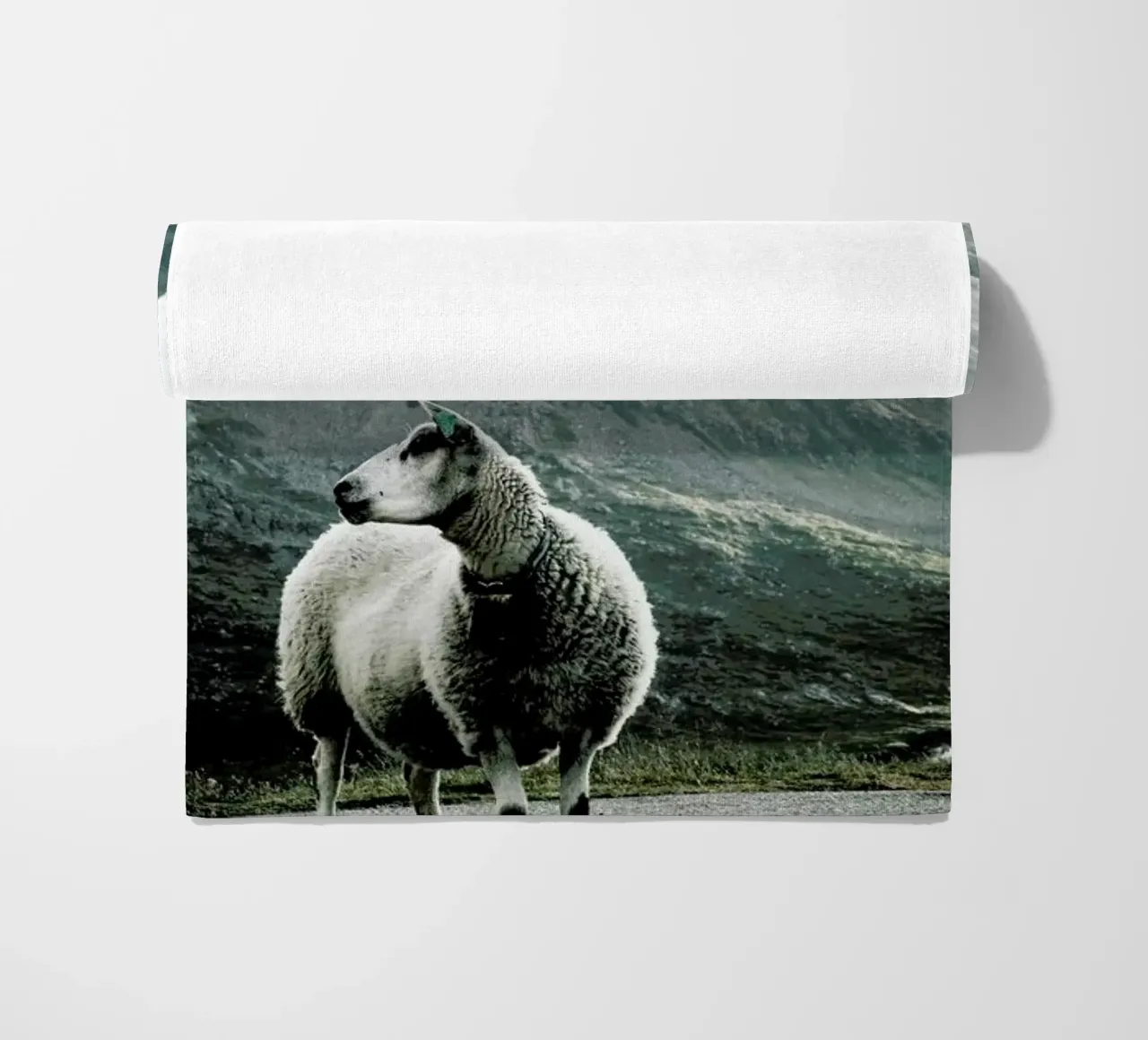 Sheep 1 telo mare da Chris Abatzis