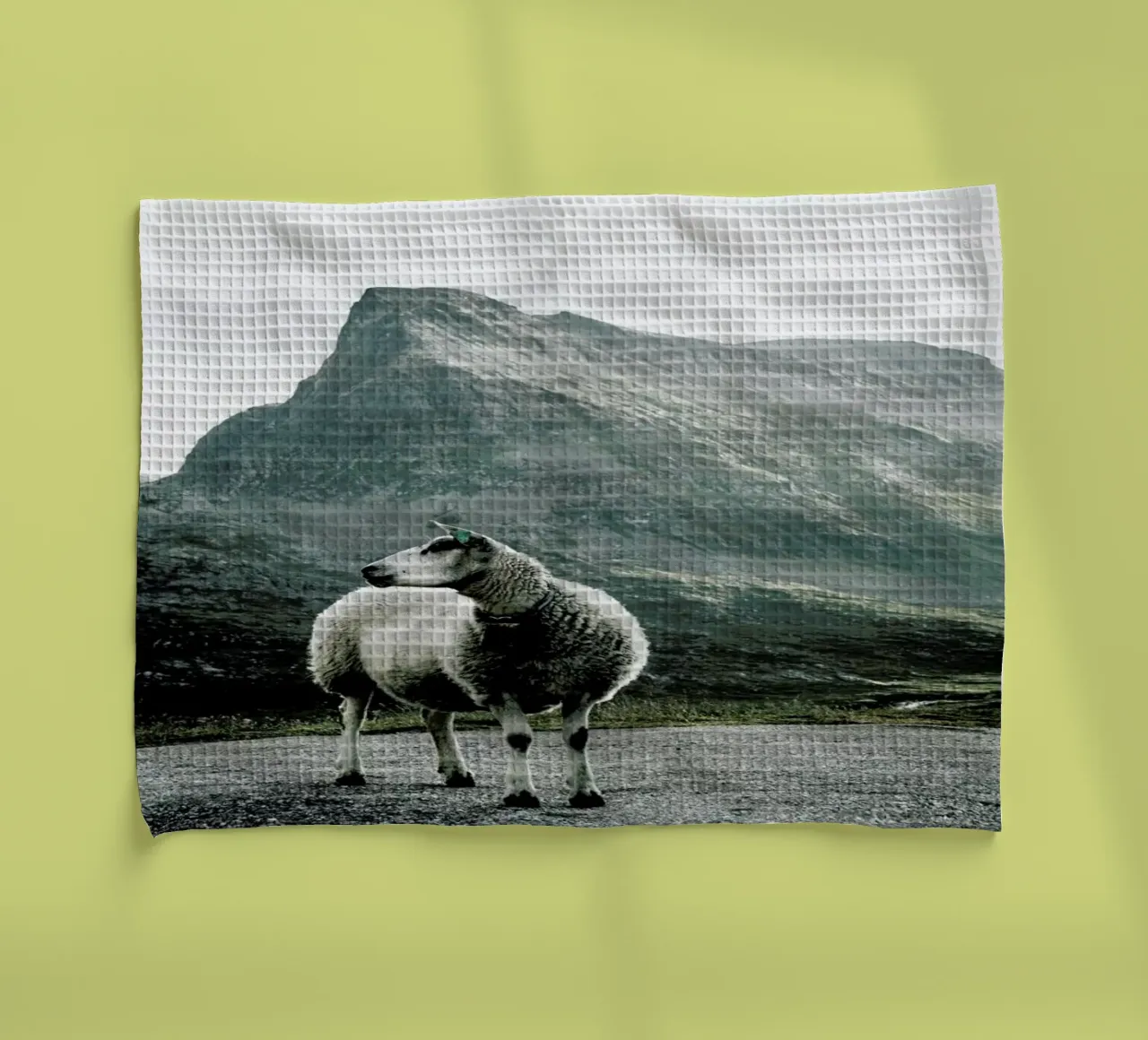 Sheep 1 canovaccio da cucina da Chris Abatzis