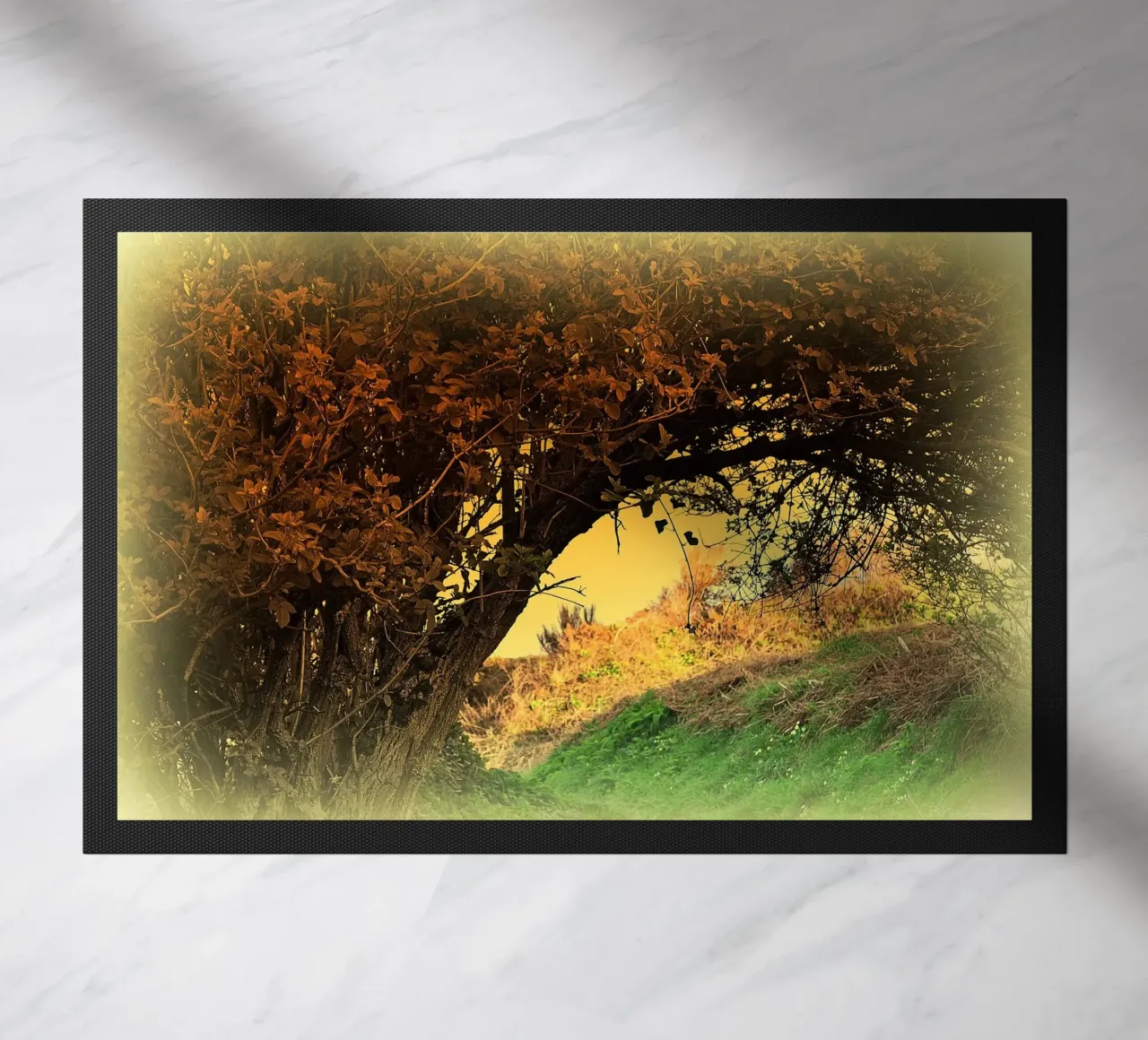 FAA150 zerbino da Thierry vobmann photography