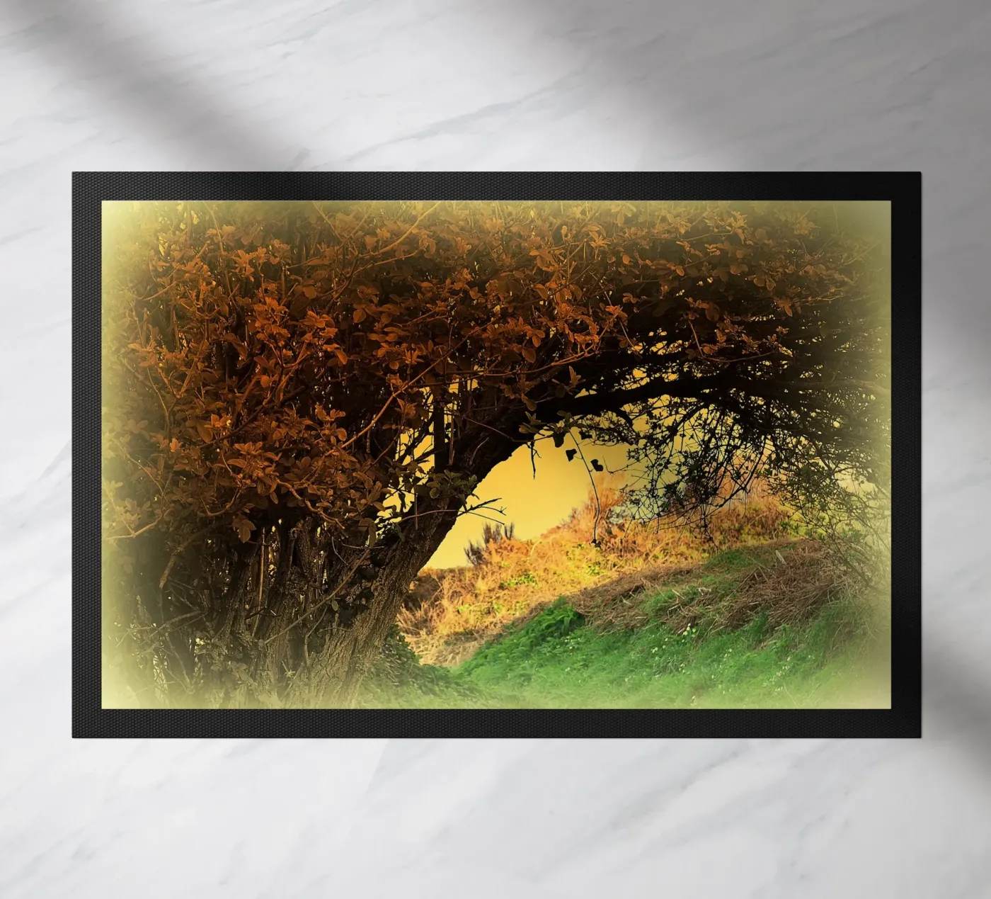 FAA150 zerbino da Thierry vobmann photography