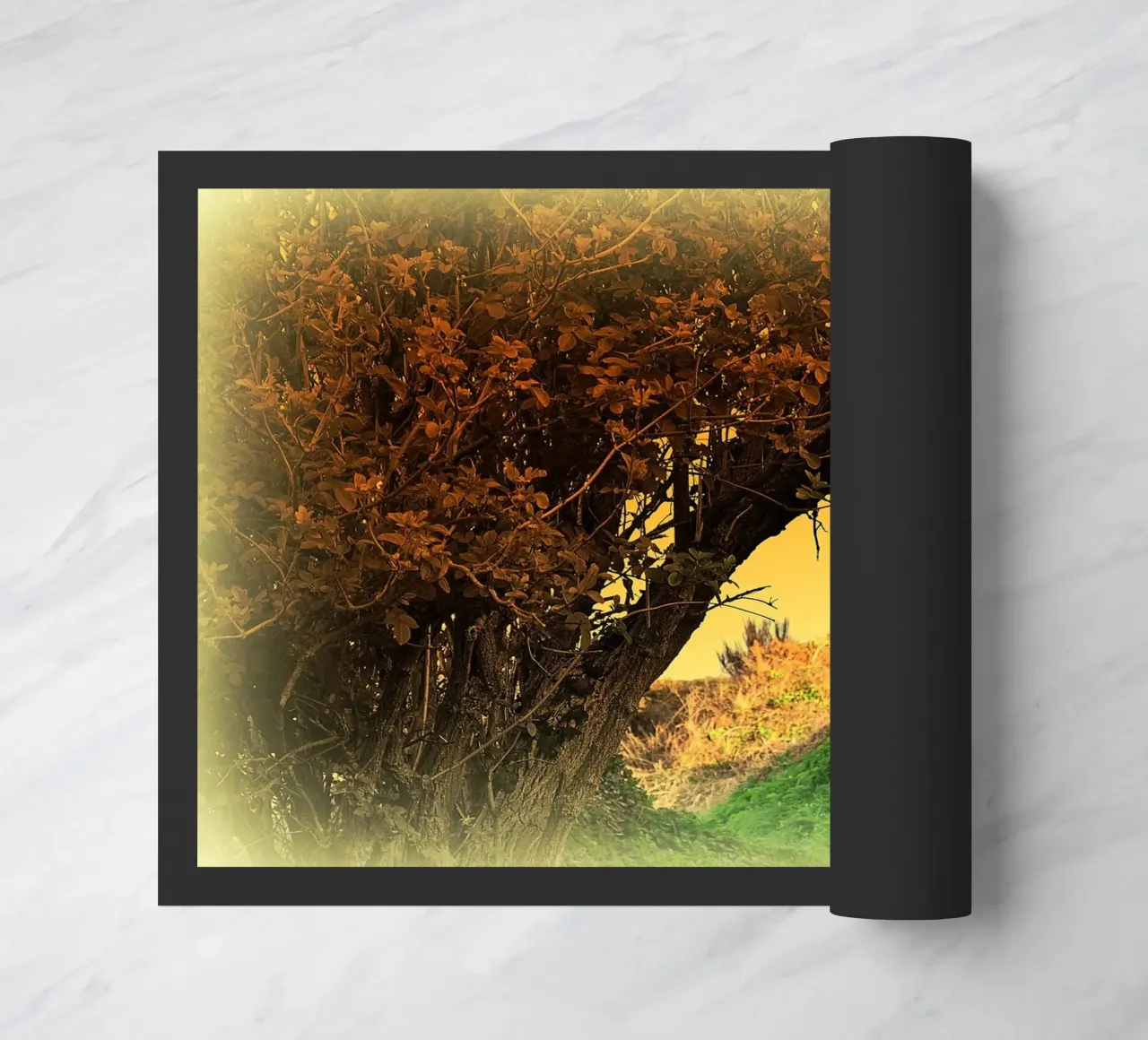 FAA150 zerbino da Thierry vobmann photography