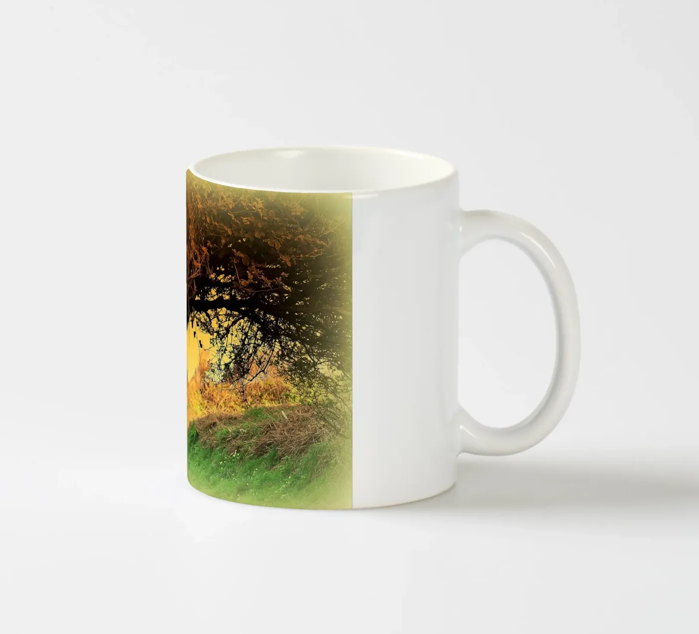 FAA150 ceramic mug by Thierry vobmann photography