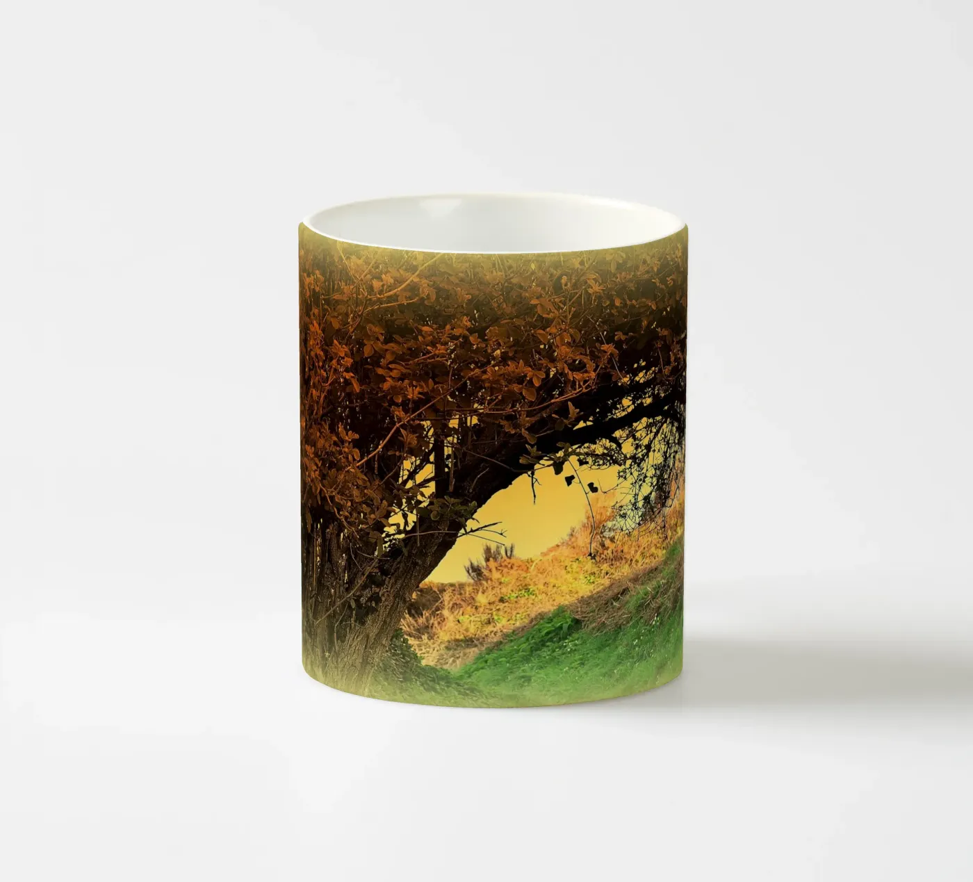 FAA150 ceramic mug by Thierry vobmann photography