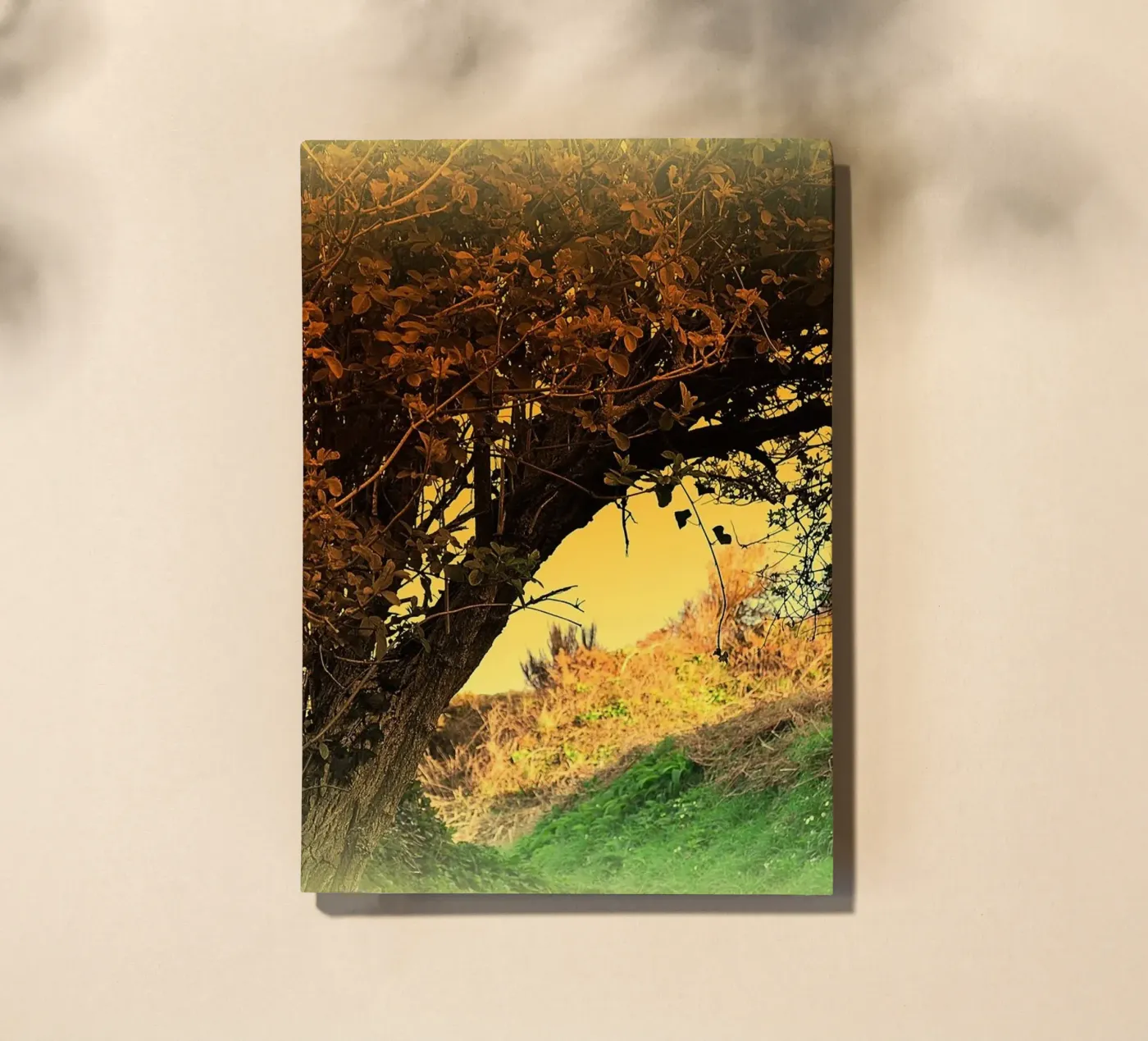 FAA150 notebook by Thierry vobmann photography