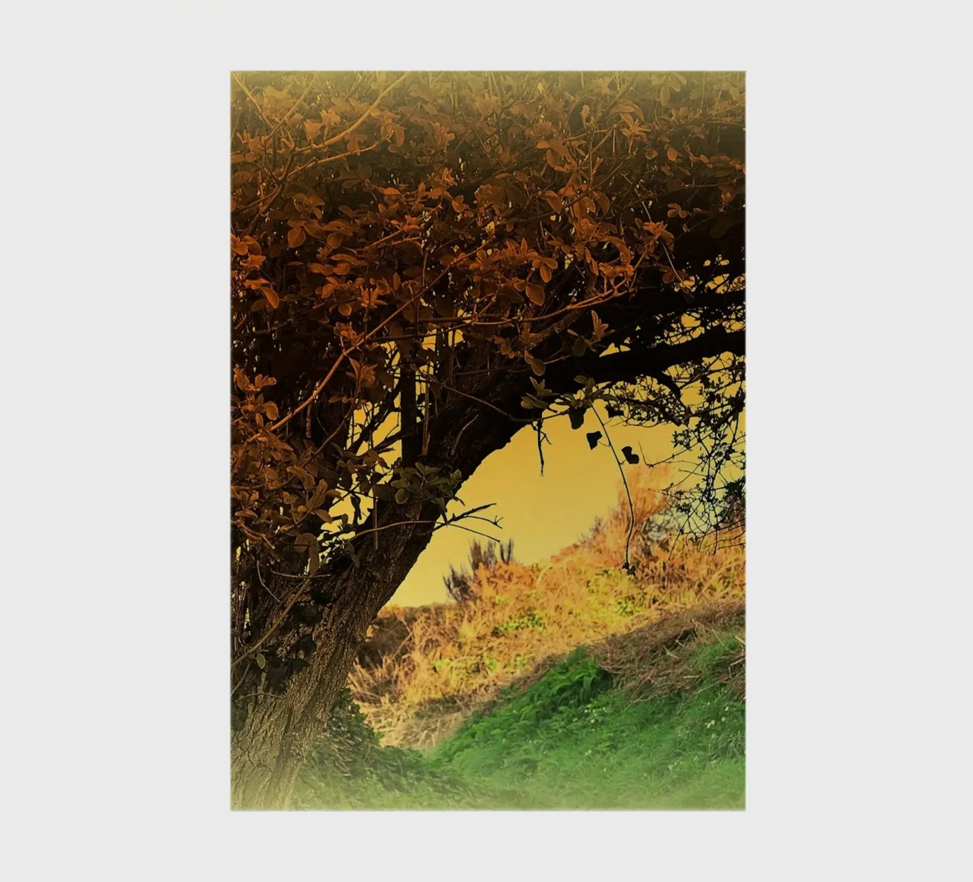 FAA150 notebook by Thierry vobmann photography