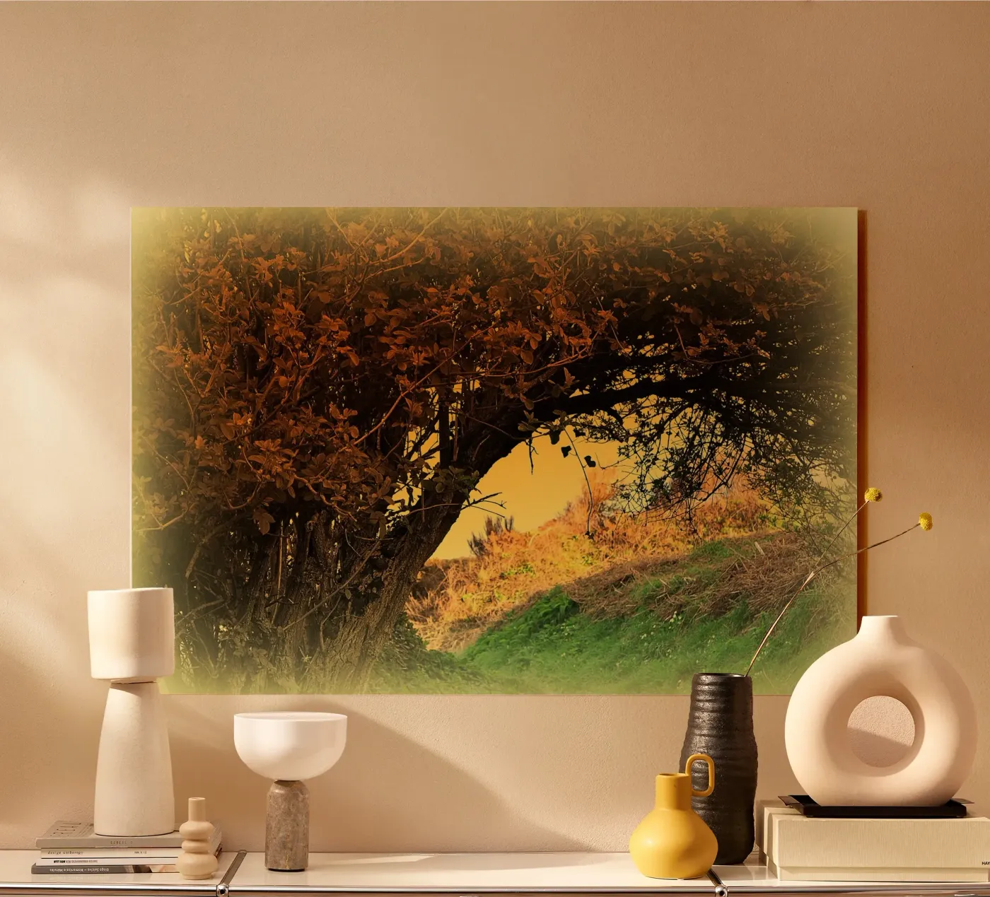 FAA150 plexiglas de Thierry vobmann photography