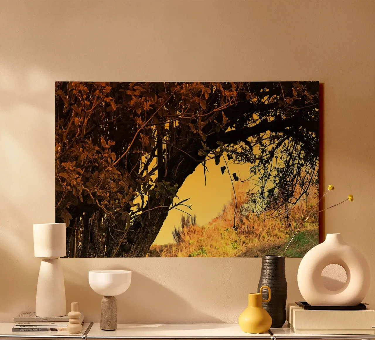 FAA150 tela da Thierry vobmann photography