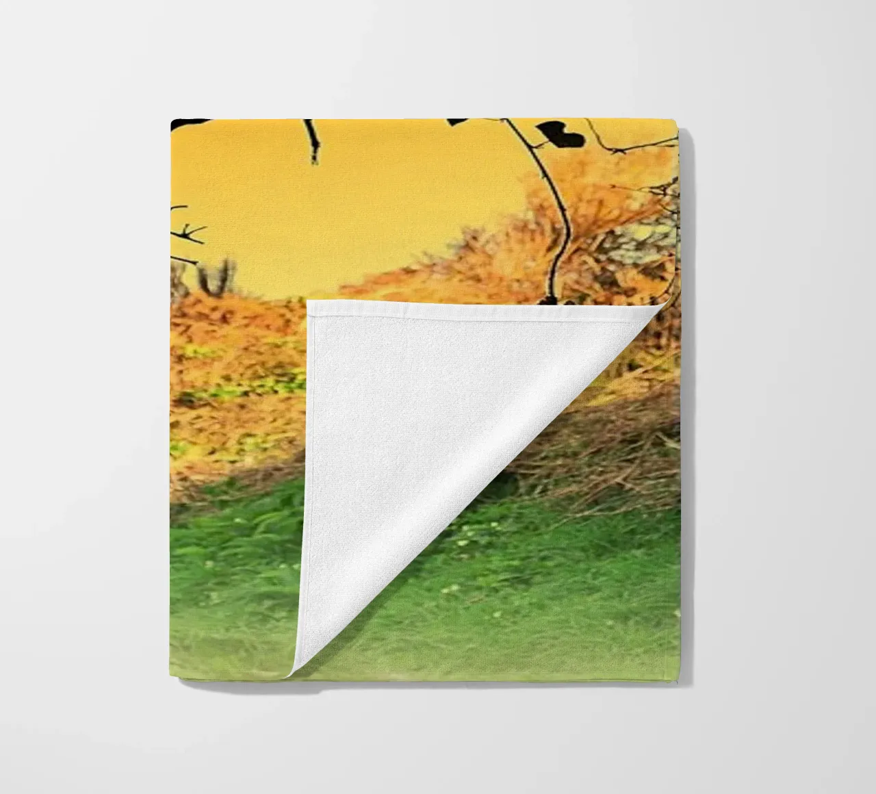 FAA150 telo mare da Thierry vobmann photography