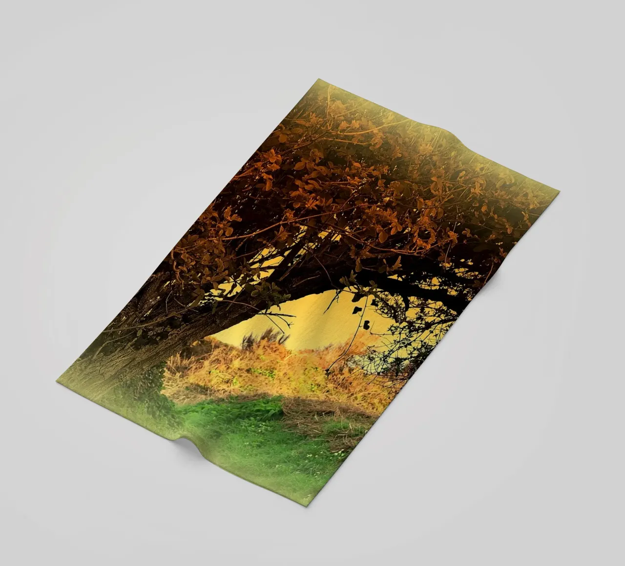 FAA150 telo mare da Thierry vobmann photography