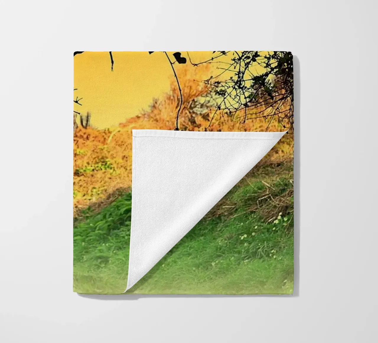 FAA150 telo mare da Thierry vobmann photography