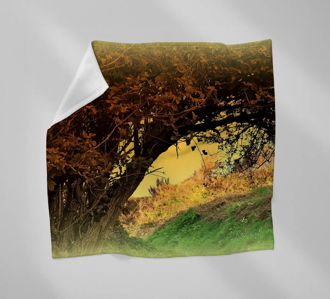 FAA150 fleecedeken van Thierry vobmann photography