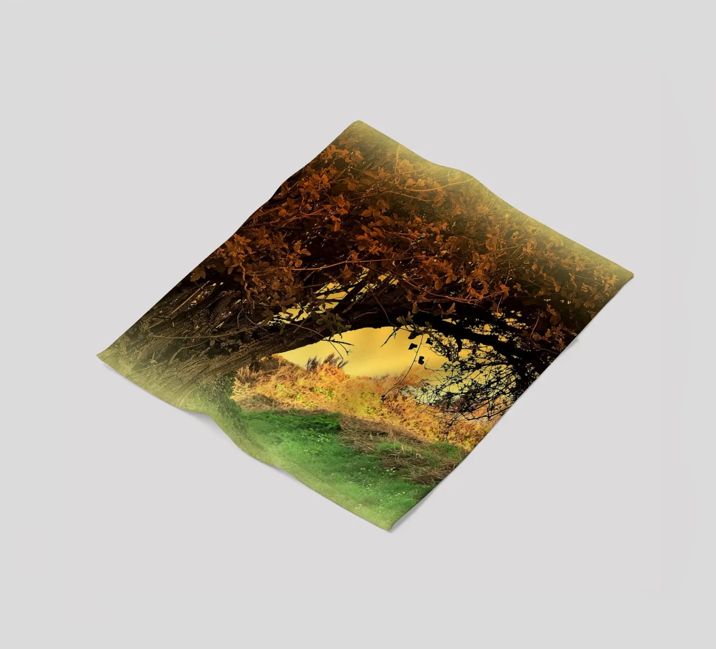 FAA150 fleecedeken van Thierry vobmann photography