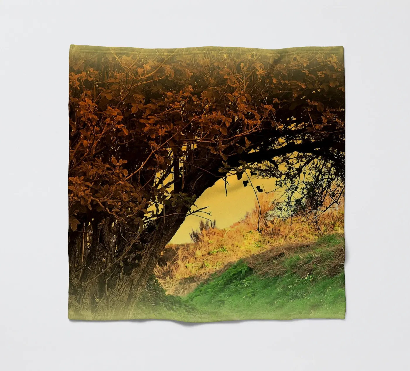 FAA150 fleecedeken van Thierry vobmann photography