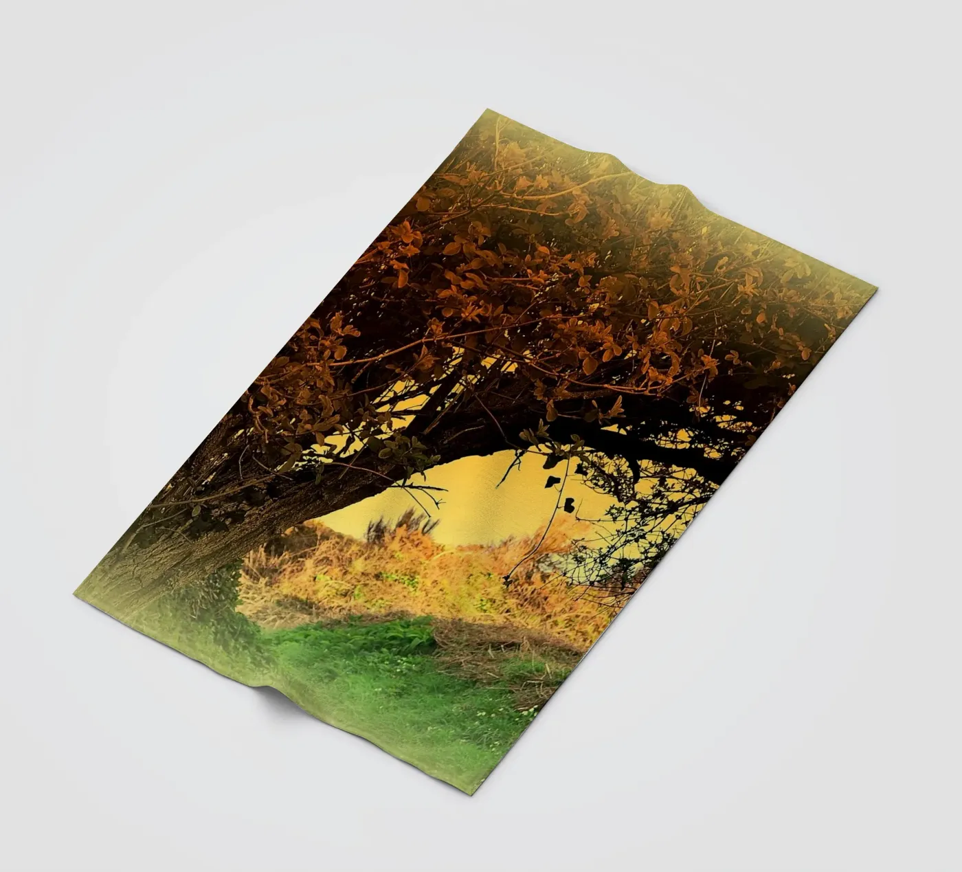 FAA150 fleecedeken van Thierry vobmann photography