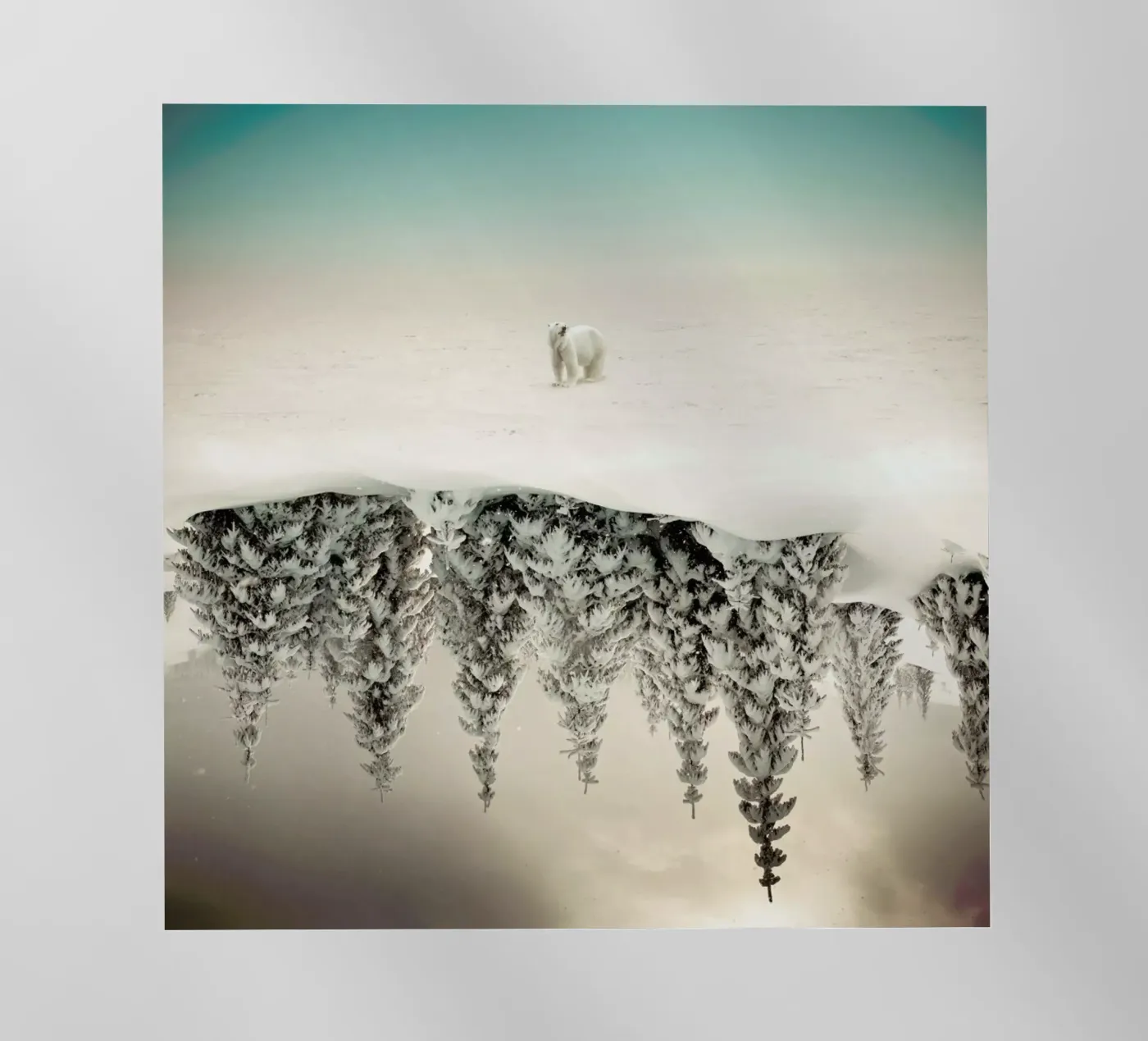 Brod pellicola backlit da Eugene Soloviev