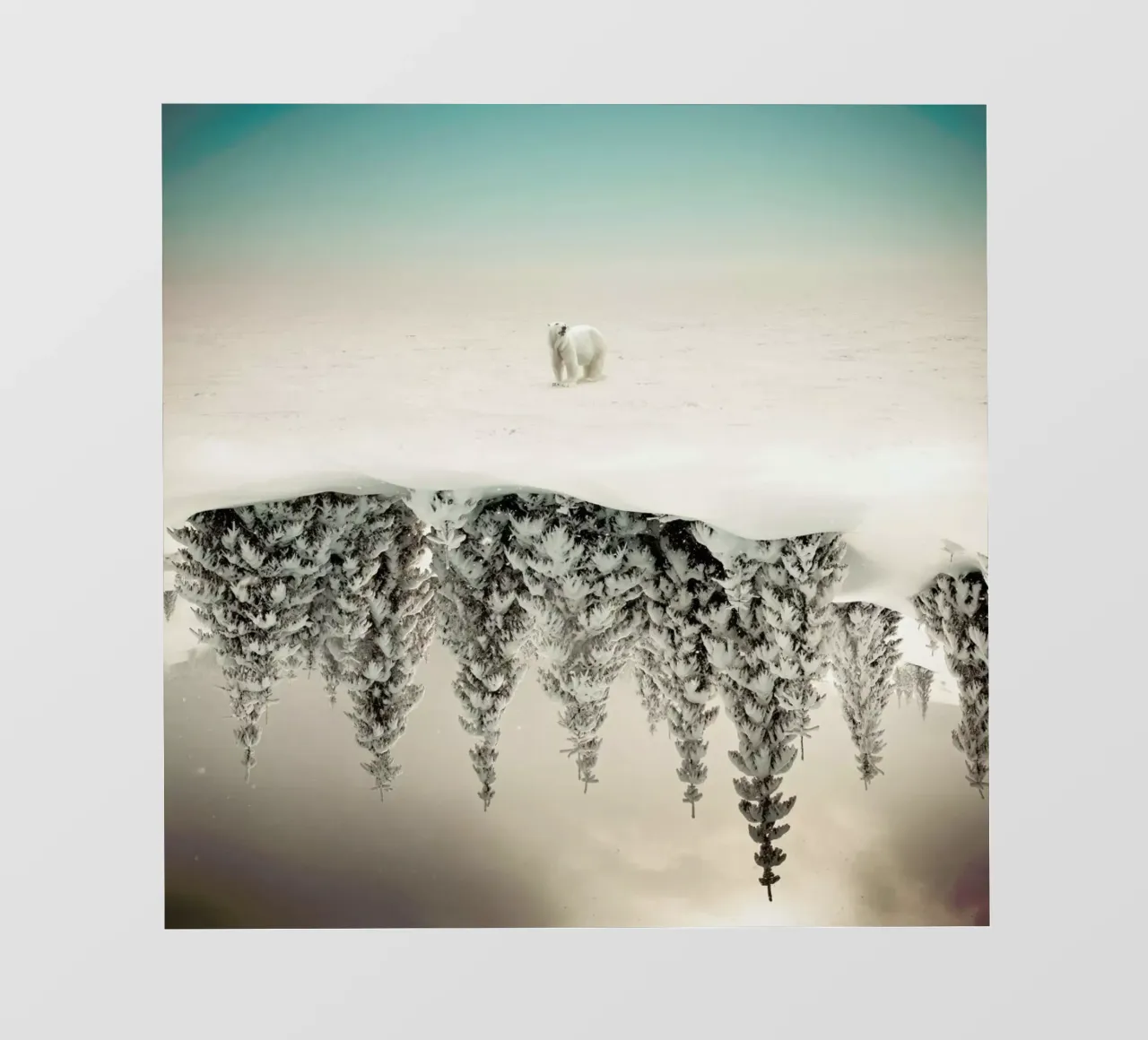 Brod pellicola backlit da Eugene Soloviev