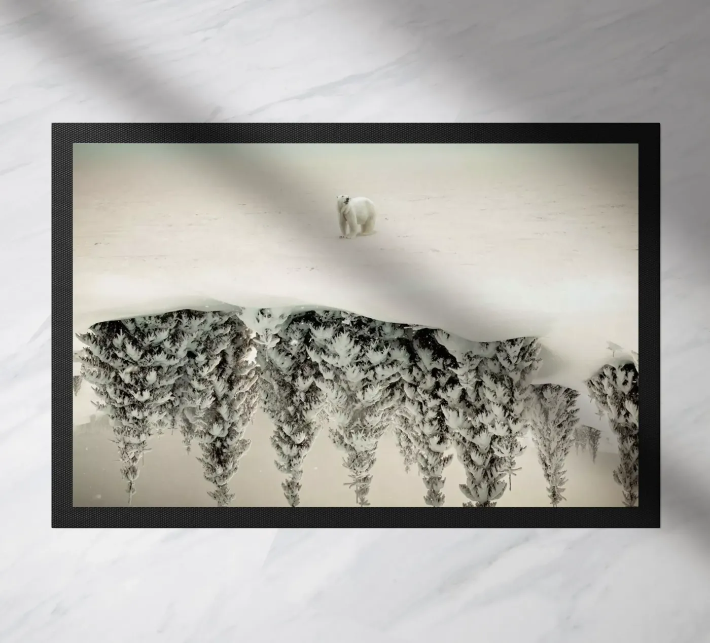 Brod zerbino da Eugene Soloviev