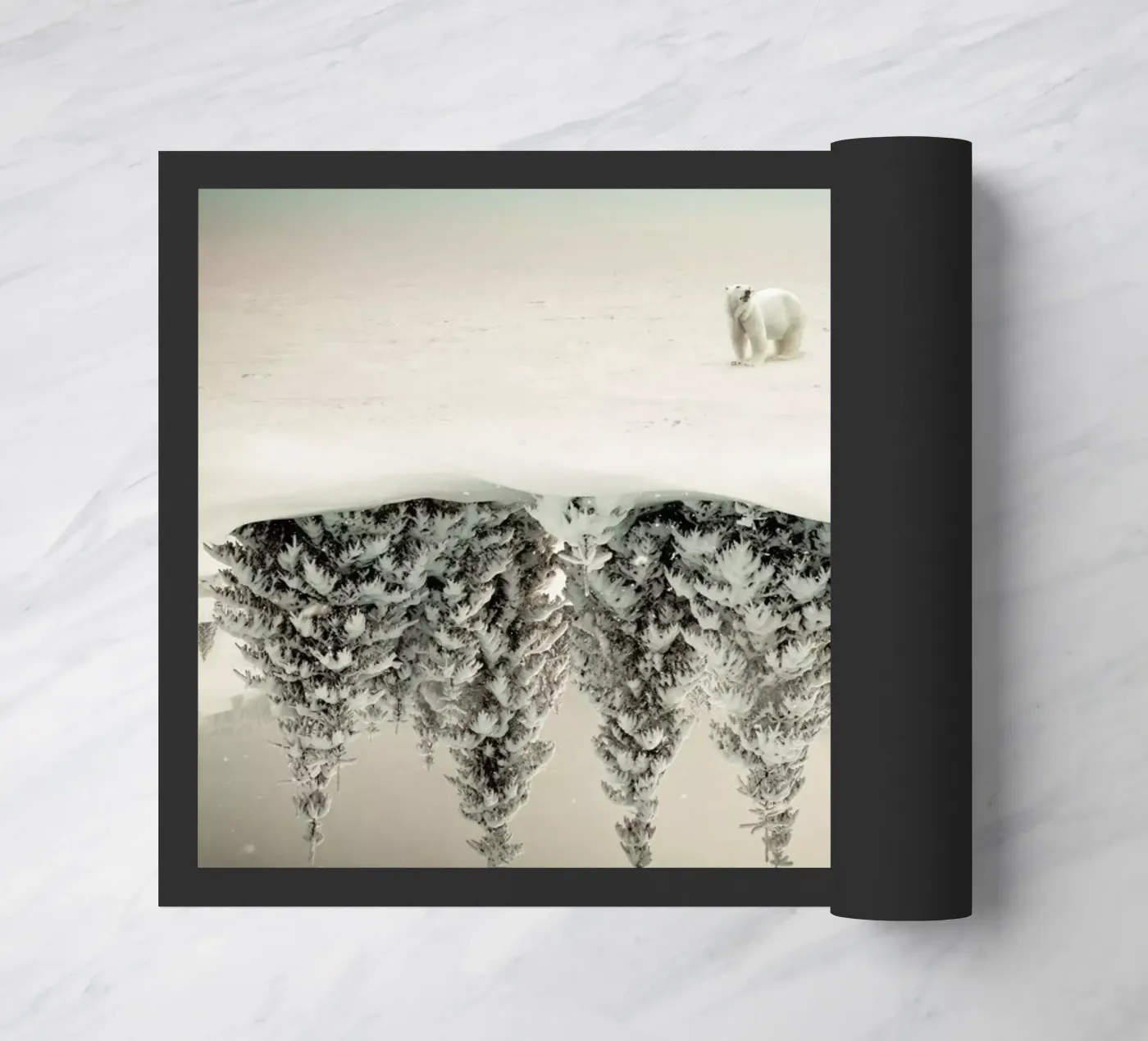 Brod zerbino da Eugene Soloviev