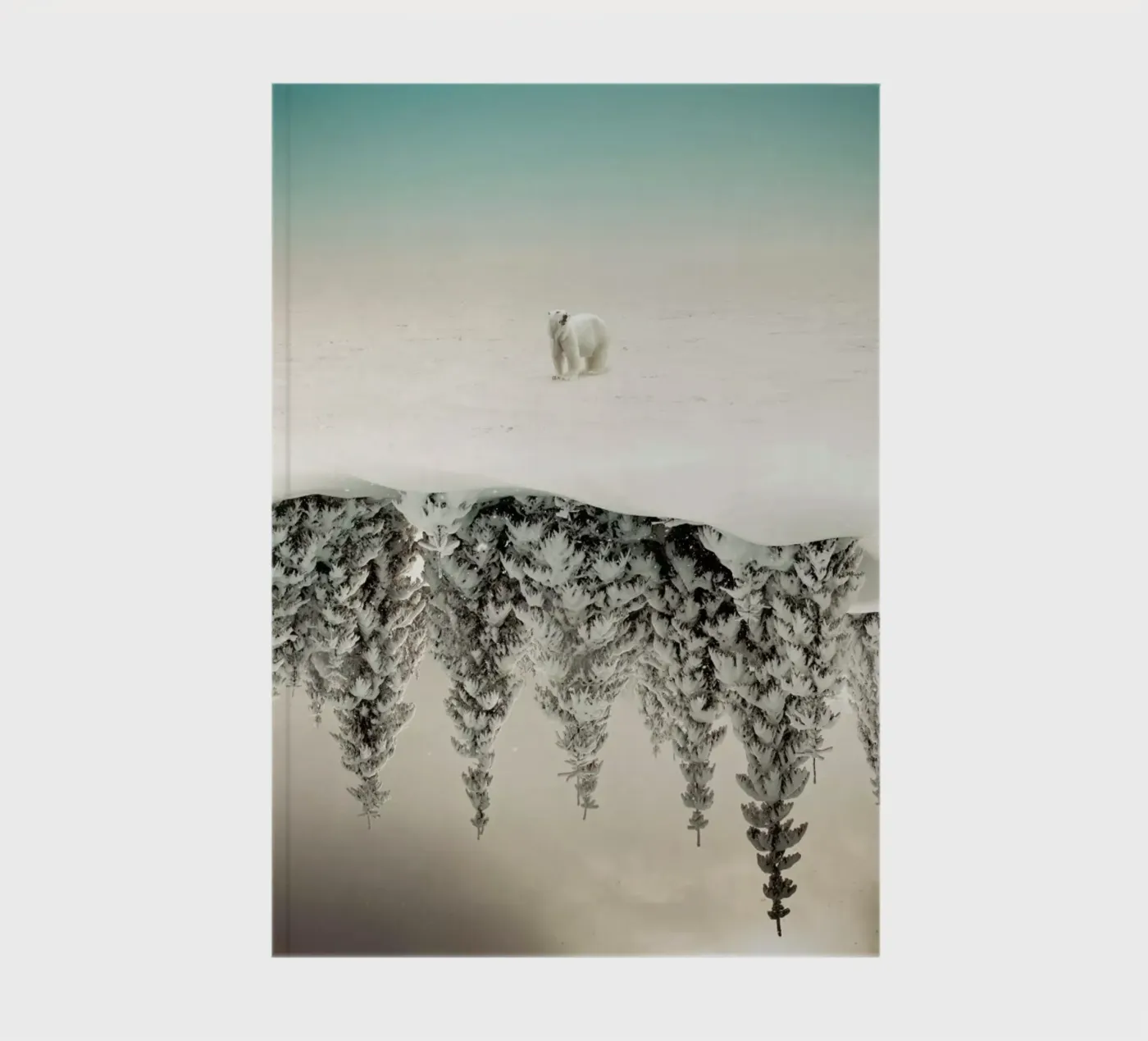 Brod notebook by Eugene Soloviev