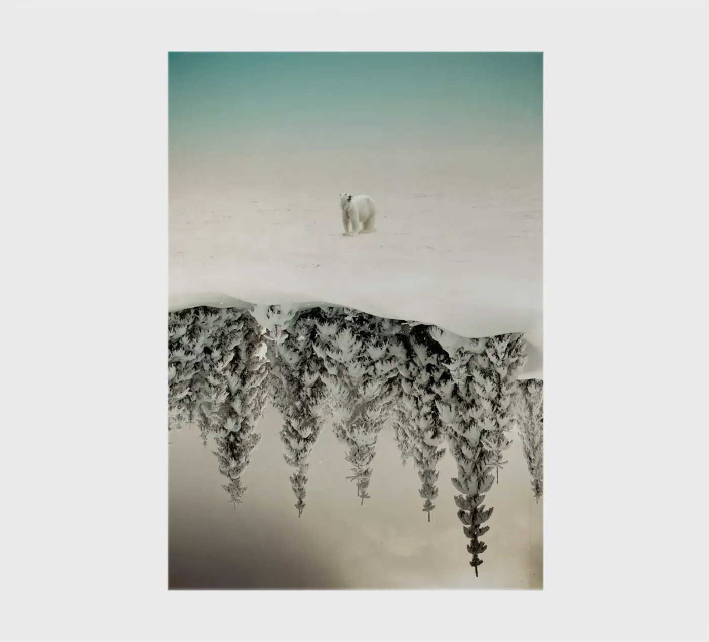 Brod notebook by Eugene Soloviev