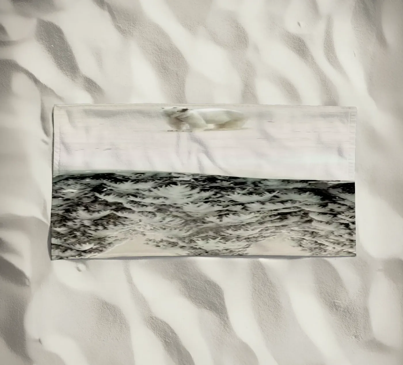 Brod telo mare da Eugene Soloviev