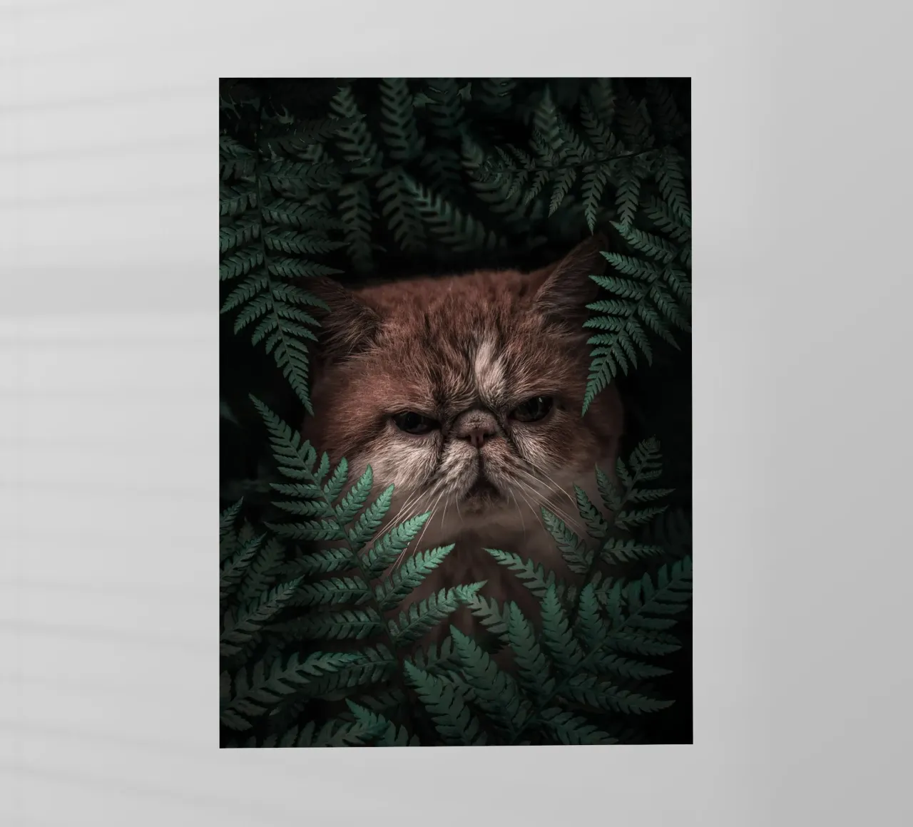 Gatto di picco in felci pellicola backlit da arizrab