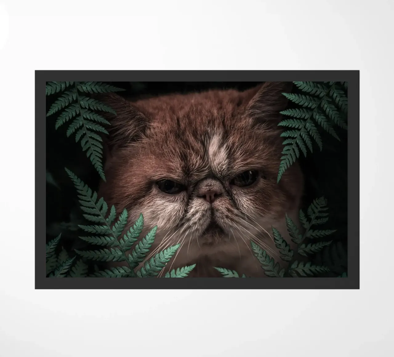 Gatto di picco in felci zerbino da arizrab