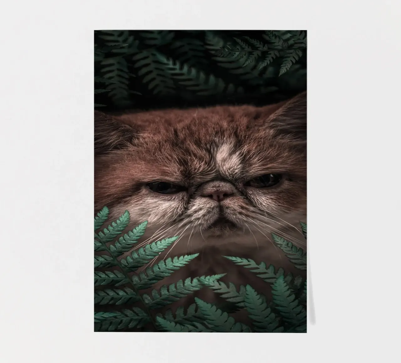 Gatto di picco in felci foglio adesivo da arizrab