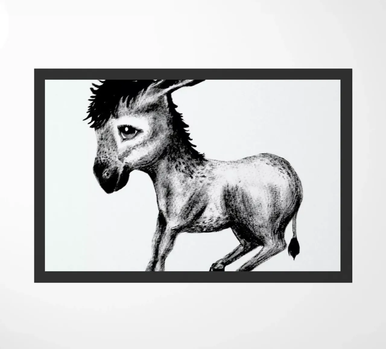 Donkey zerbino da Tvinkla