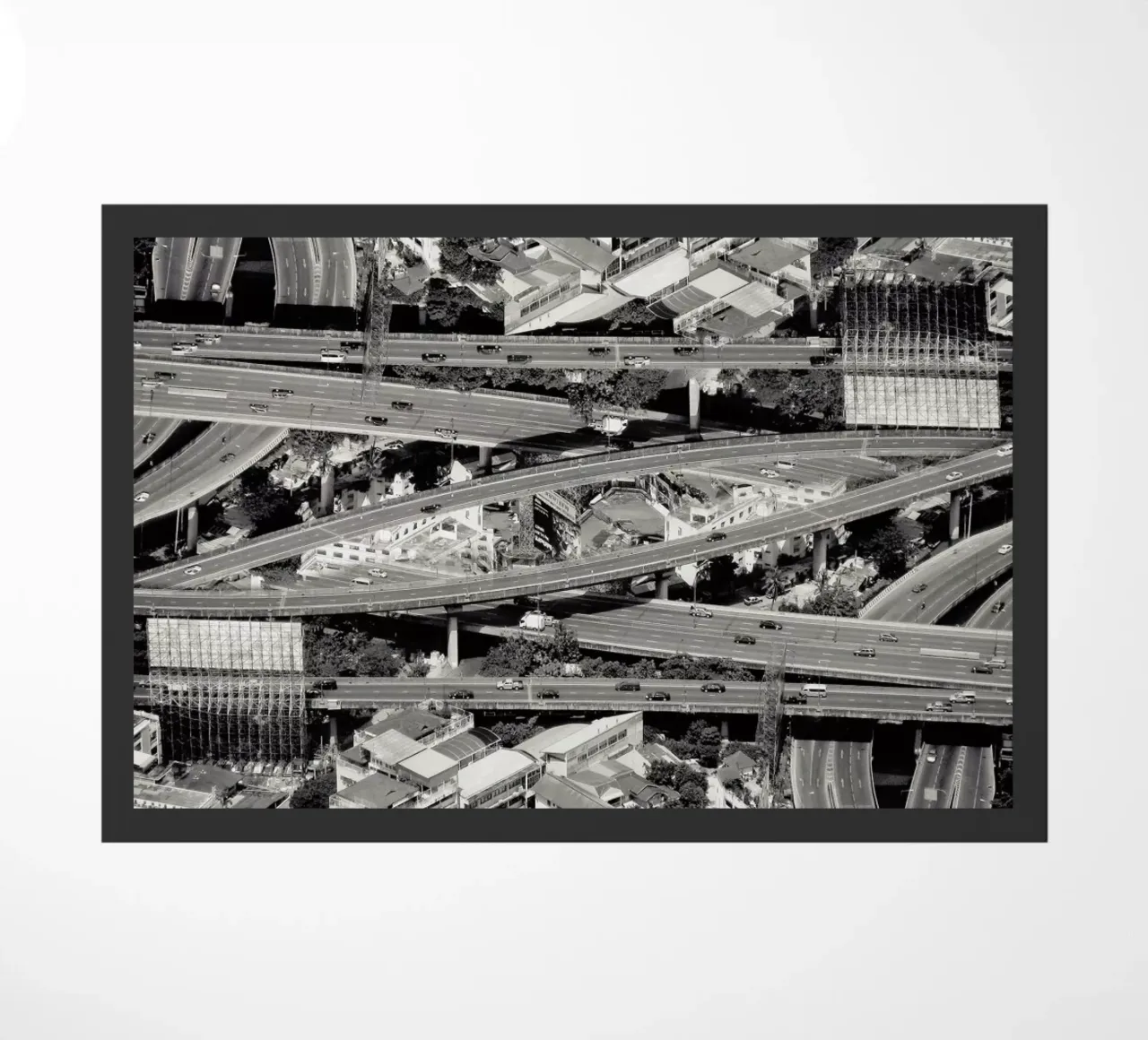 Cofluence zerbino da Eugene Soloviev