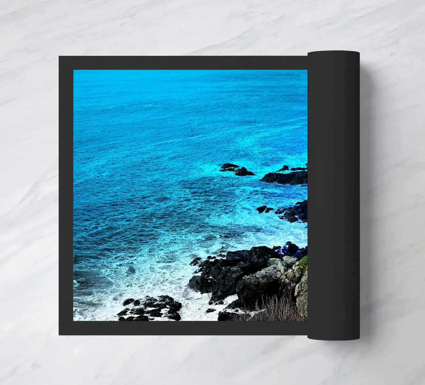 FAA151 zerbino da Thierry vobmann photography