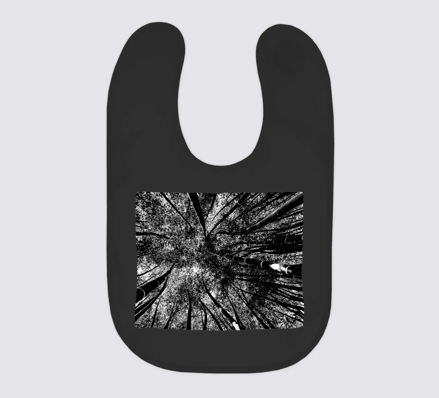 trees baby bib by Massimo Frascogna