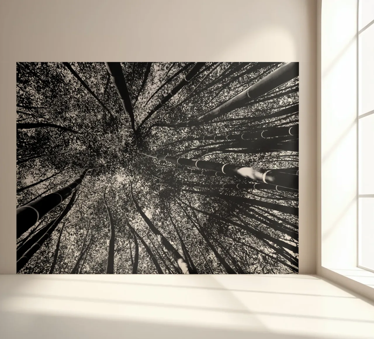 bomen fotobehang van Massimo Frascogna