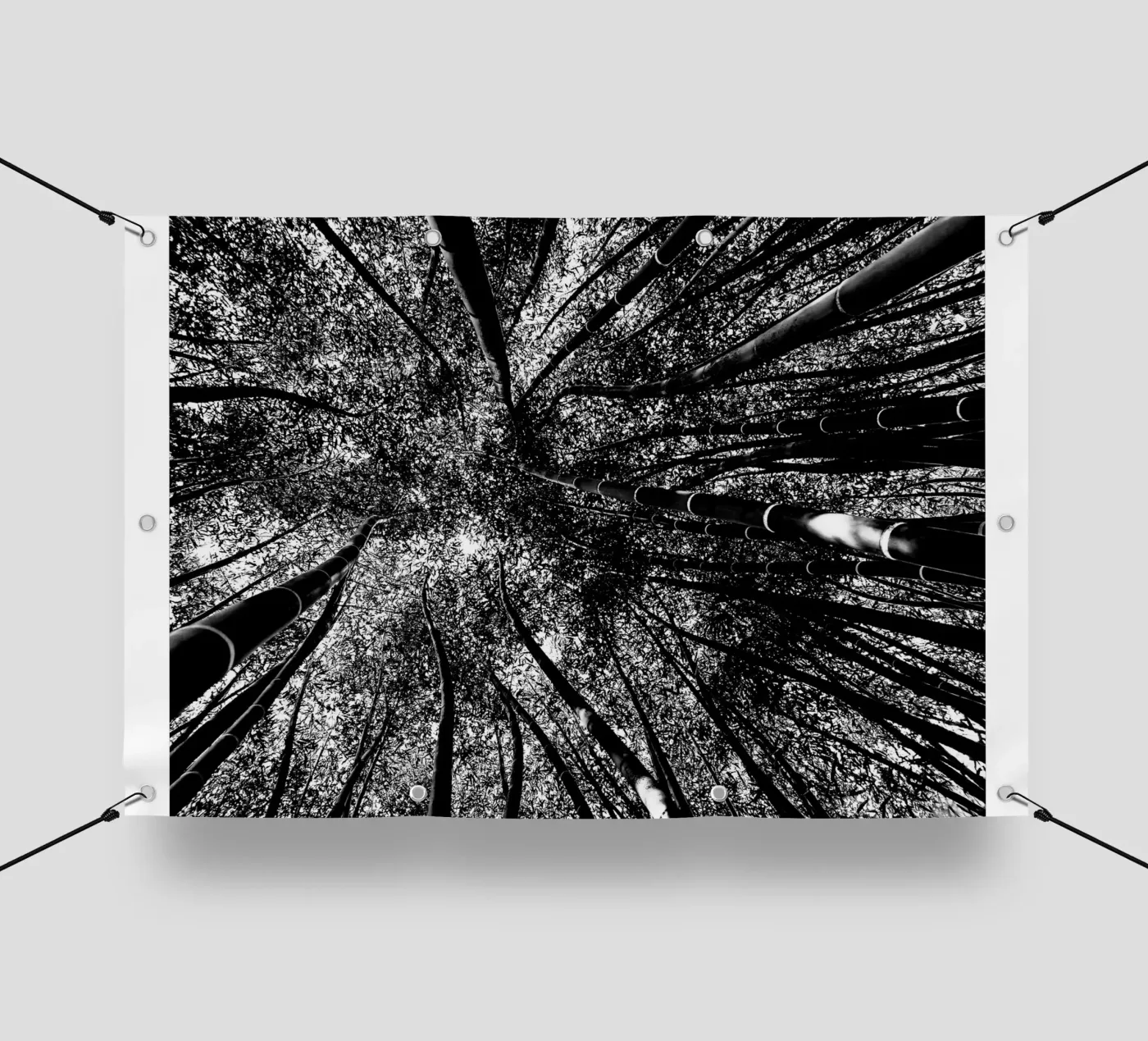 trees pvc cover by Massimo Frascogna