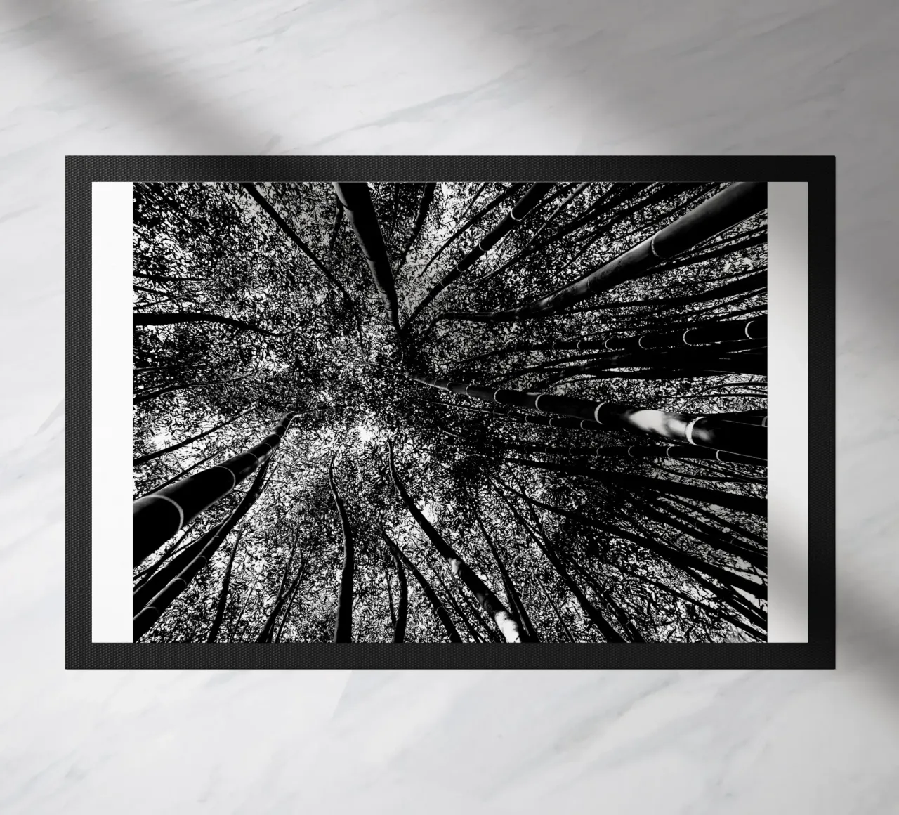 alberi zerbino da Massimo Frascogna