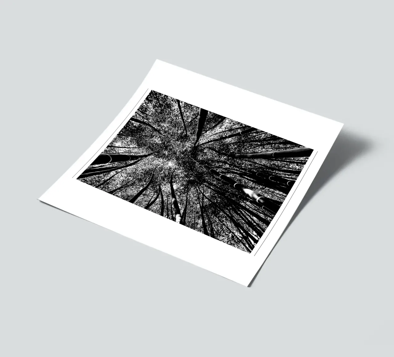 trees sticker sheet by Massimo Frascogna