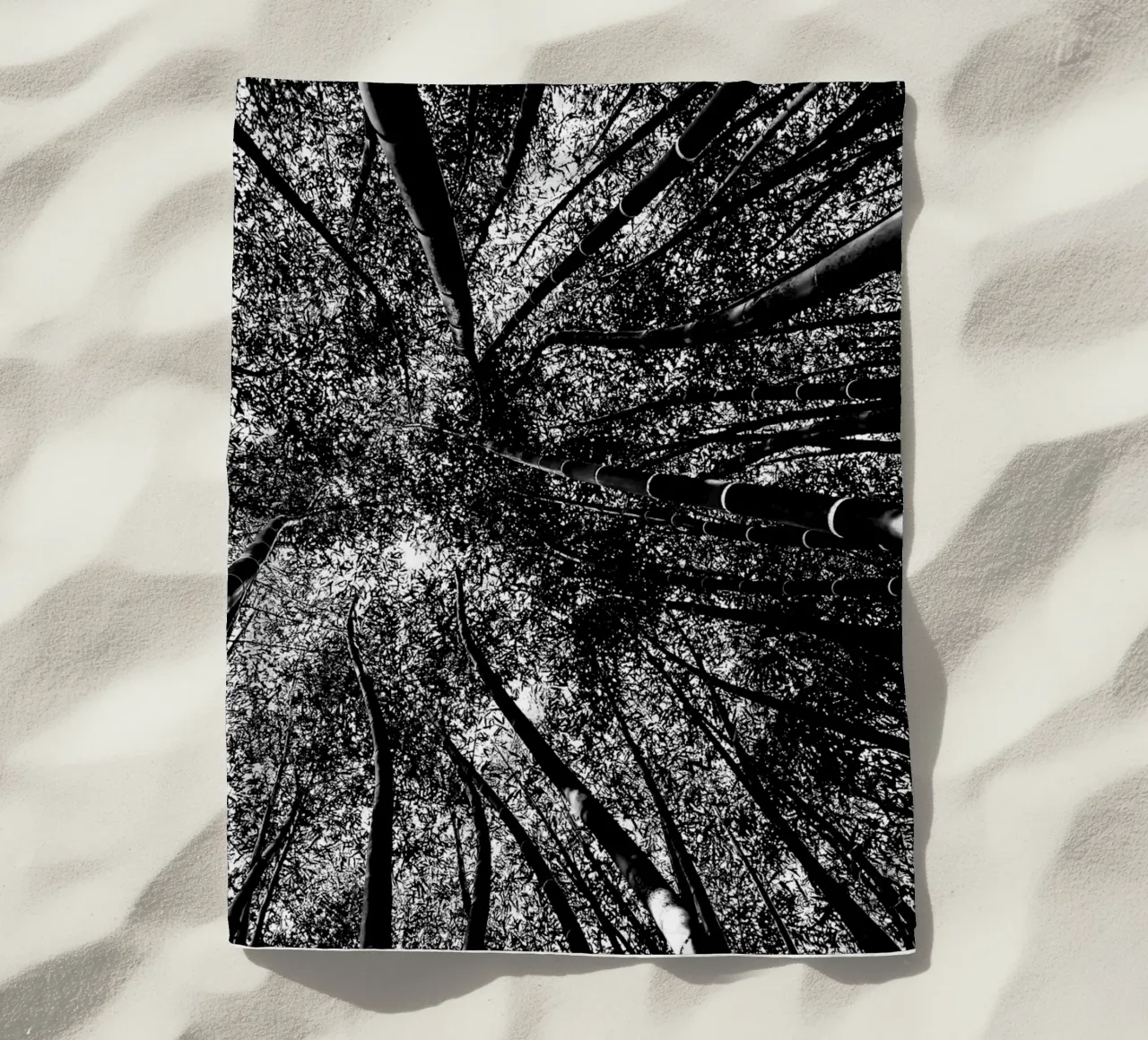 trees telo mare da Massimo Frascogna