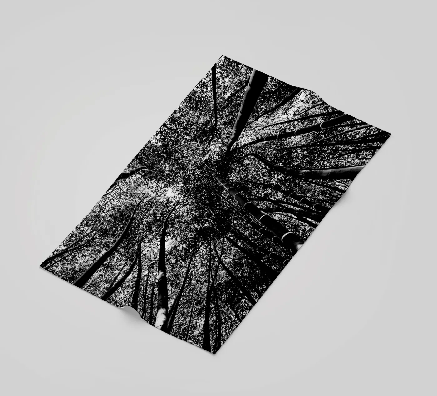 trees strandhanddoek van Massimo Frascogna