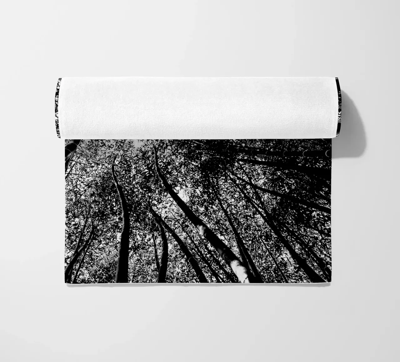 trees telo mare da Massimo Frascogna