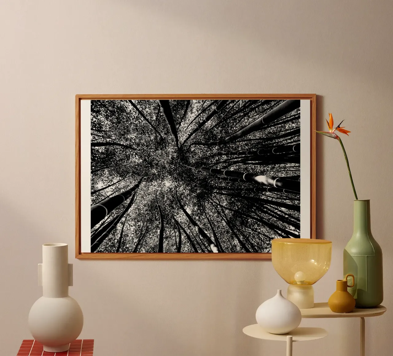 trees forex plate by Massimo Frascogna